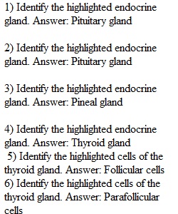 Lab Assignment 1